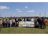 TEKİRDAĞ / ÇORLU MEVKİ'İNDE 01 HAZİRAN 2023 TARİHİNDE 1000 ADET SEDİR FİDANI DİKİLMİŞTİR. 