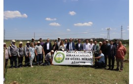 TEKİRDAĞ / ÇORLU MEVKİ'İNDE 01 HAZİRAN 2023 TARİHİNDE 1000 ADET SEDİR FİDANI DİKİLMİŞTİR. 