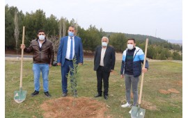 UŞAK / KIZILCASÖĞÜT 2020 SONBAHAR FİDAN DİKİMİ 