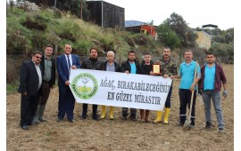 İZMİR 2019 SONBAHAR ZEYTİN FİDANI DİKİMİ GERÇEKLEŞMİŞTİR. 