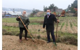 İZMİR / BORNOVA 2021 İLKBAHAR FİDAN DİKİMİ 