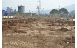 İZMİR / BORNOVA 17 KASIM 2017