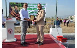 BORNOVA BELEDİYESİ PARK VE BAHÇELER MÜDÜRÜ