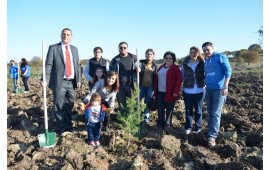 BALIKESİR\18 KASIM 2015 BALIKESİR FİDAN DİKİMİ