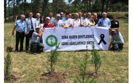 BALIKESİR\19 HAZİRAN 2014 BALIKESİR BANDIRMA ATATÜRK PARKINDAKİ ALANLARA 1000 ADET TOROS SEDİRİ DİKİLDİ