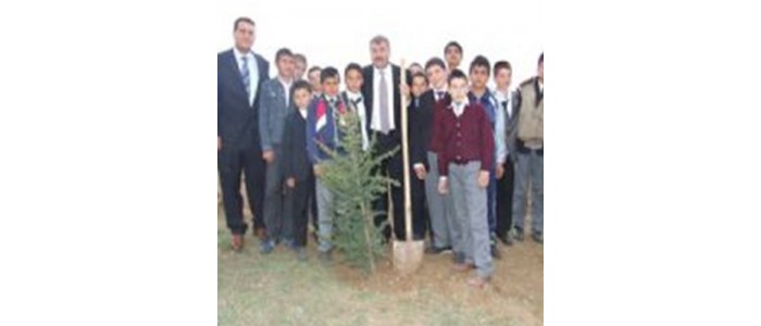 Akyurt’ta Ağaçlandırma Çalışmaları Hız Kazandı.