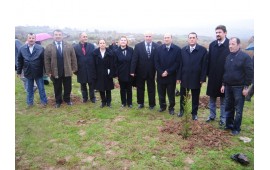 BURSA / YENİCE 07 ARALIK 2012  FİDAN DİKİMİ