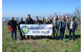 BURSA /  04 MART 2019 MUSTAFA KEMAL PAŞA MEVKİ'İNDE 500 ADET TOROS SEDİRİ DİKİLMİŞTİR.