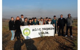 BURSA\ YENİCE 05 ARALIK  ÇAMLIK MEVKİİNDE 1000 ADET TOROS SEDİRİ DİKİLDİ