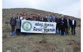 ANKARA / BEYPAZARI 5 ARALIK 2014 FİDAN DİKİMİ