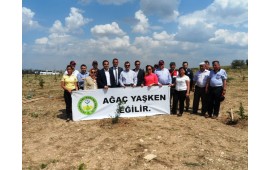 ESKİŞEHİR / TEPEBAŞI 18 HAZİRAN 2014  ÇUKURHİSAR MEVKİİNDE 2000 ADET TOROS SEDİRİ DİKİLDİ