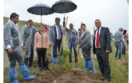 ANKARA\29 MAYIS ANKARA BEYPAZARI