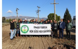 İZMİR / BORNOVA 2022 SONBAHAR FİDAN DİKİMİ