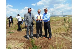 ANKARA\ AKYURT 17 HAZİRAN 2014 BALIKHİSAR VE GÜZELHİSAR MEVKİİNDEKİ ALANLARA 3000 ADET TOROS SEDİRİ DİKİLDİ